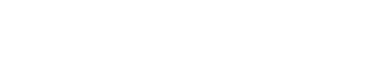 Site Logo Light